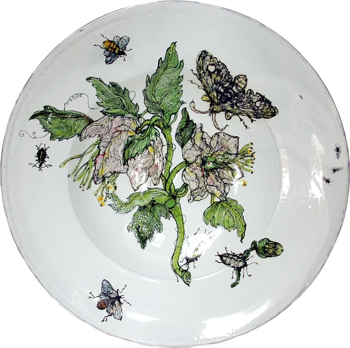 Christrose mit Schmetterling
