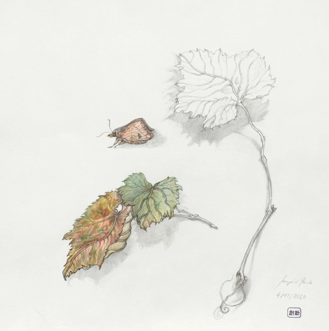 November 04
