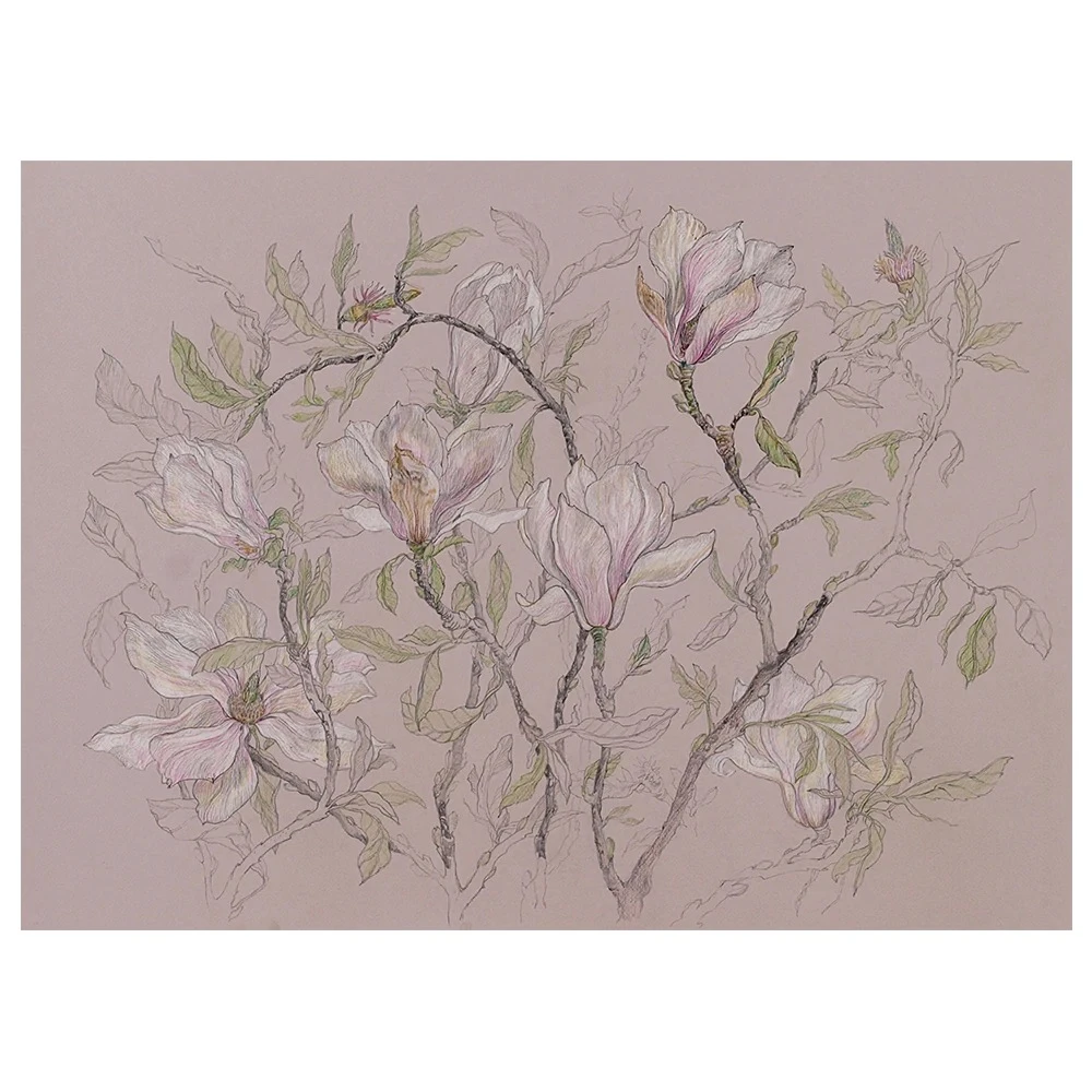 Magnolia